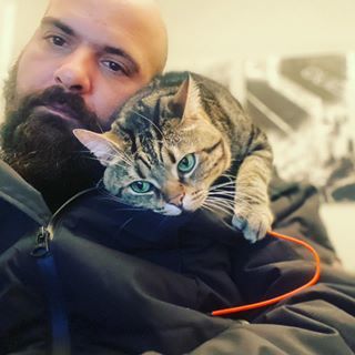 Αυτό είναι ανιδιοτελής αγάπη..!!! Καθόμουν στον υπολογιστή και δεν του είχα μιλήσει όλη μέρα.. κι αυτός ήρθε και ξάπλωσε πάνω μου..!!! Να αγαπάτε τα ζώα.. θα πάρετε περισσότερα από όσα δίνεται..!! Η φωτογραφία δεν είναι καλή.. αλλά ποιος νοιάζεται... #sifis #cat #love #nk